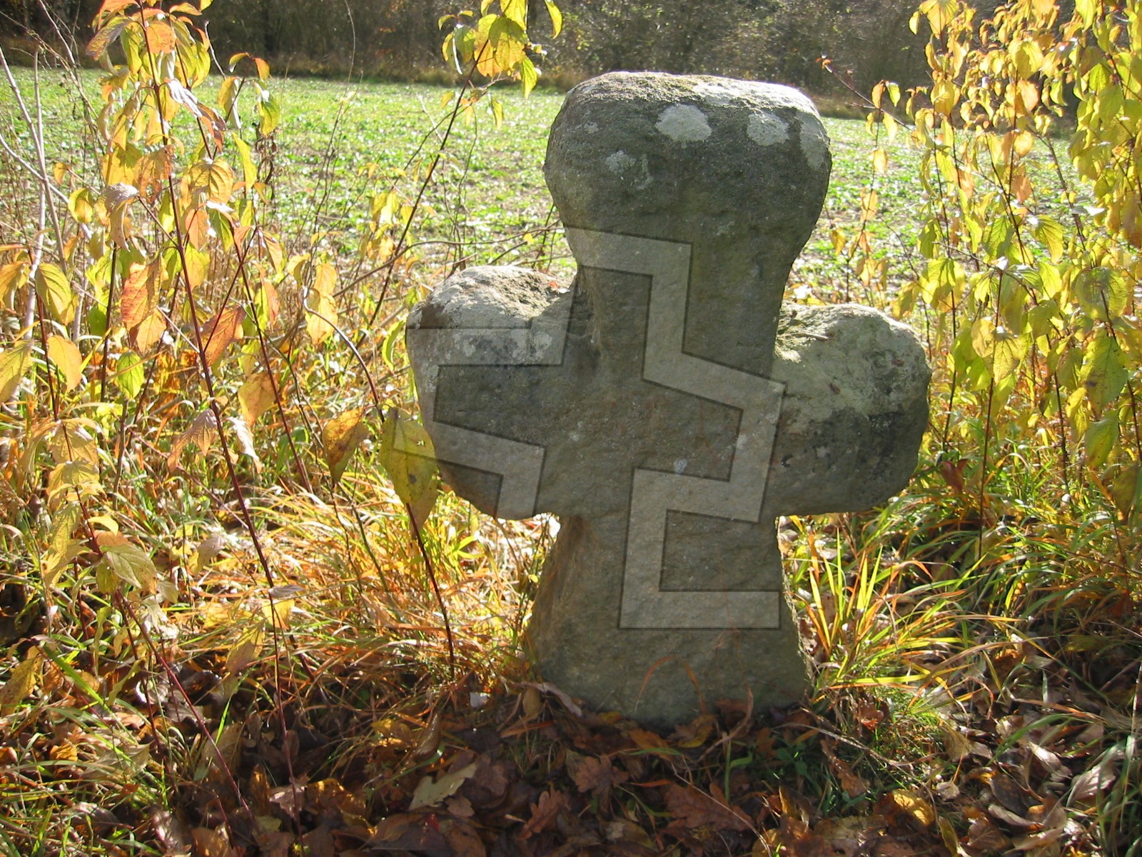 Foto: Jaroslav Brojír