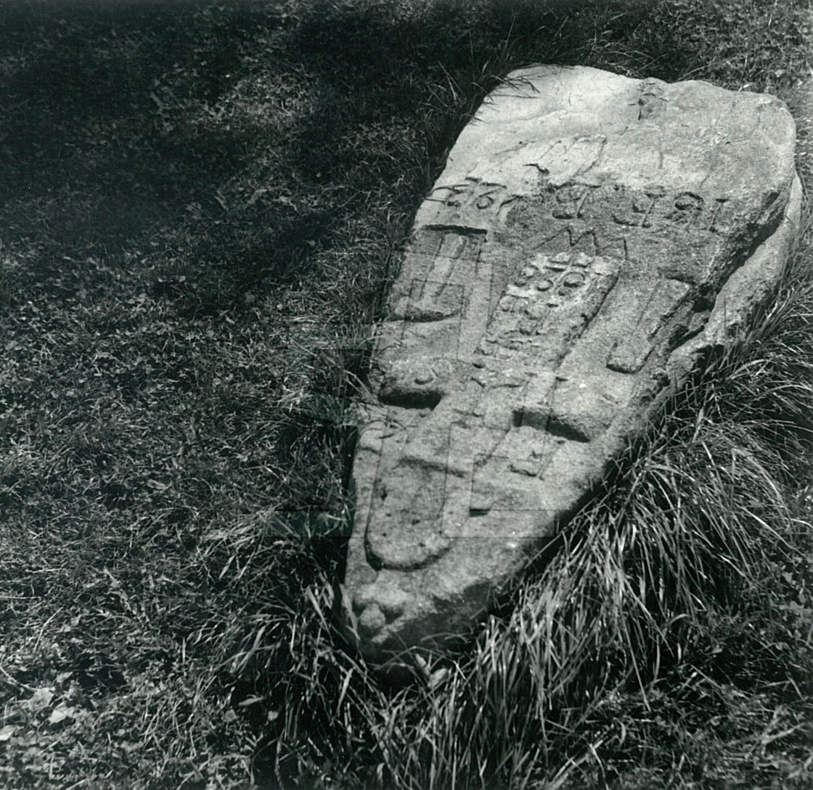 Foto: autor neuveden