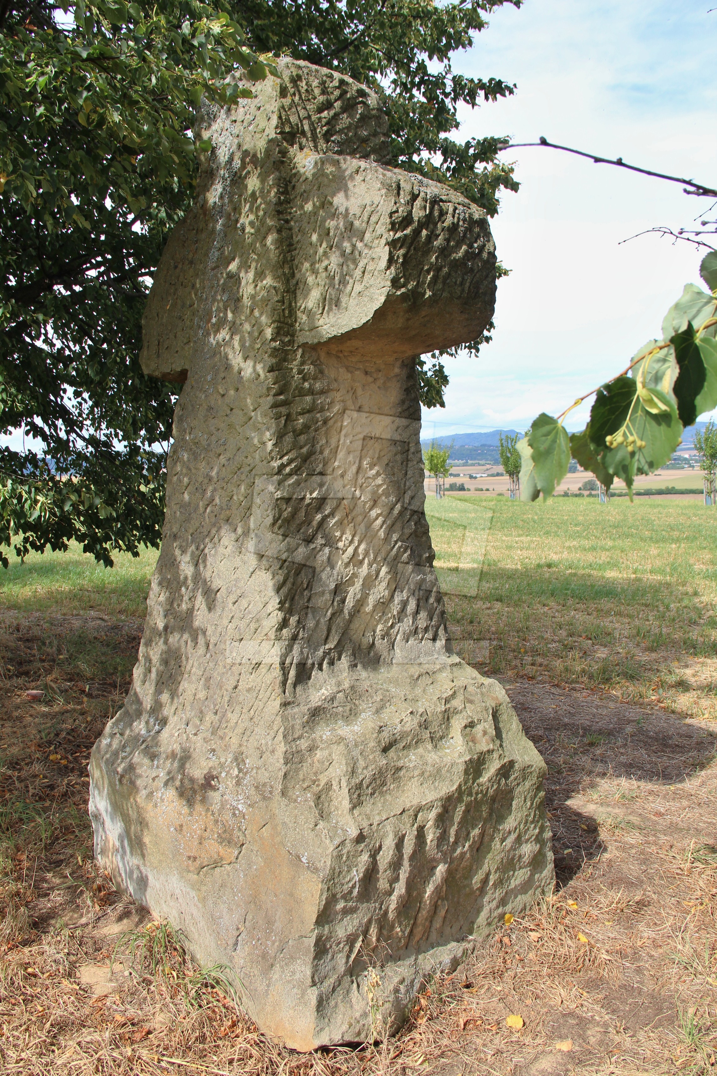Foto: Oldřich Dvořák