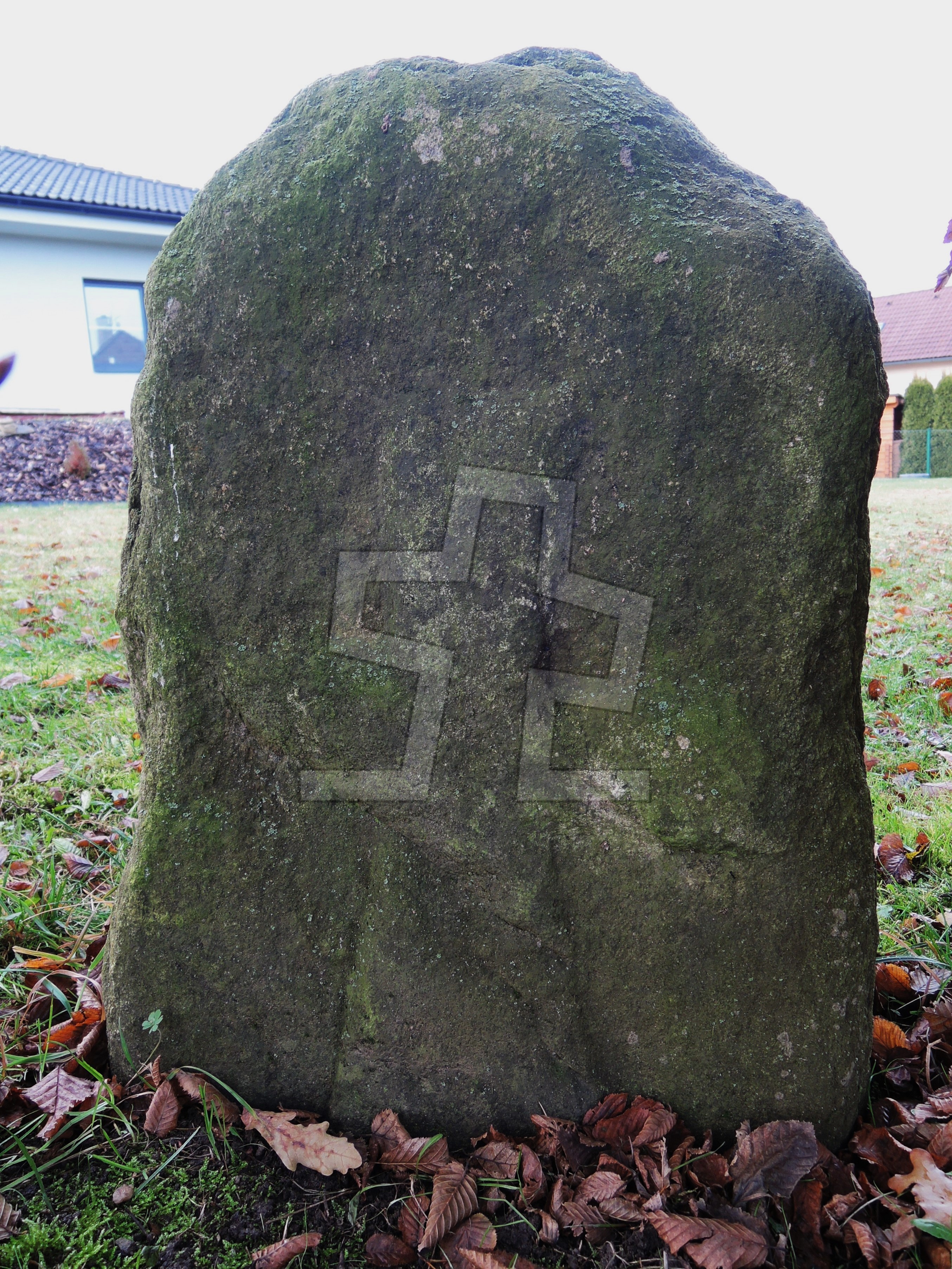 Foto: Jiří Synek