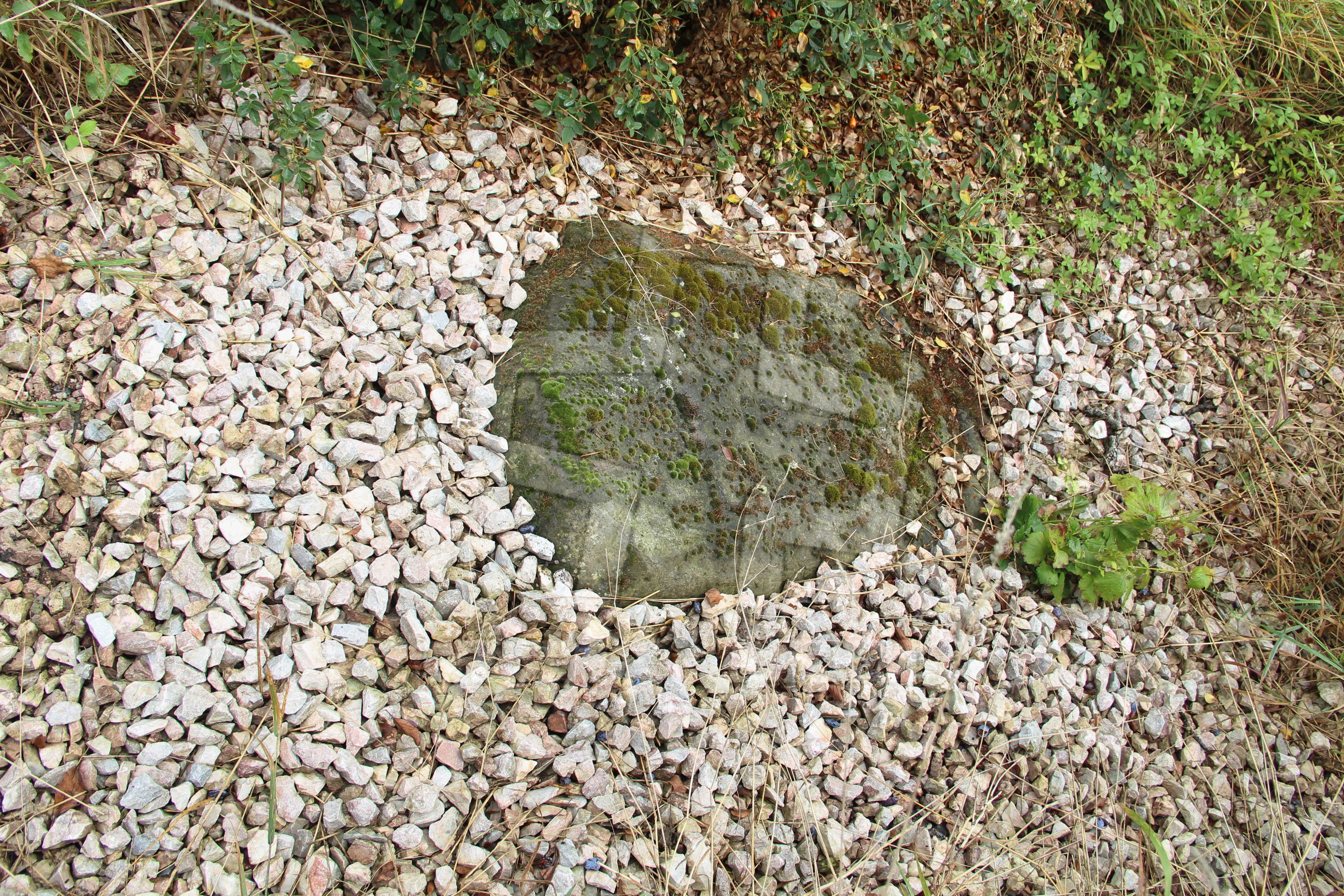 Foto: Oldřich Dvořák