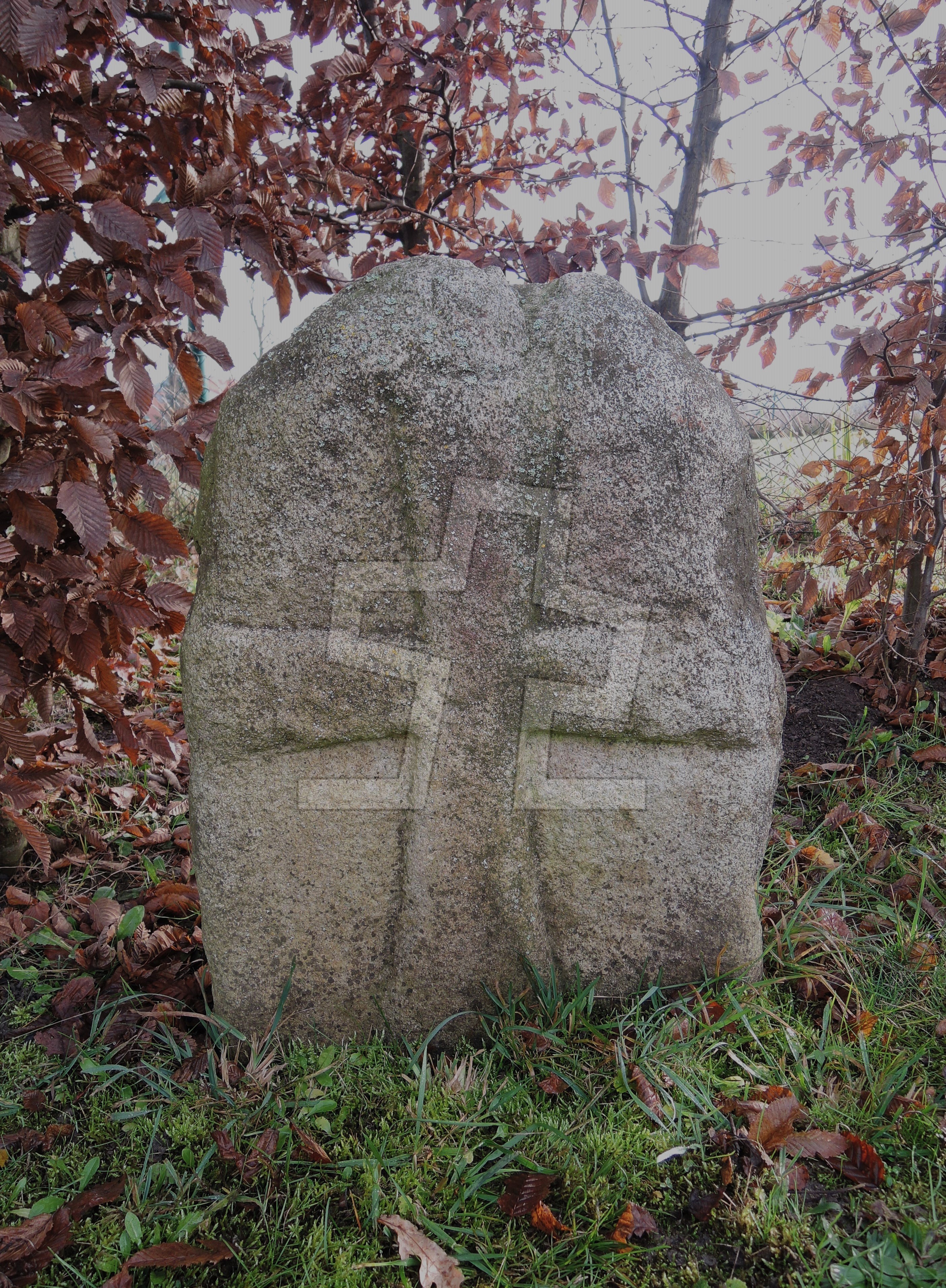Foto: Jiří Synek