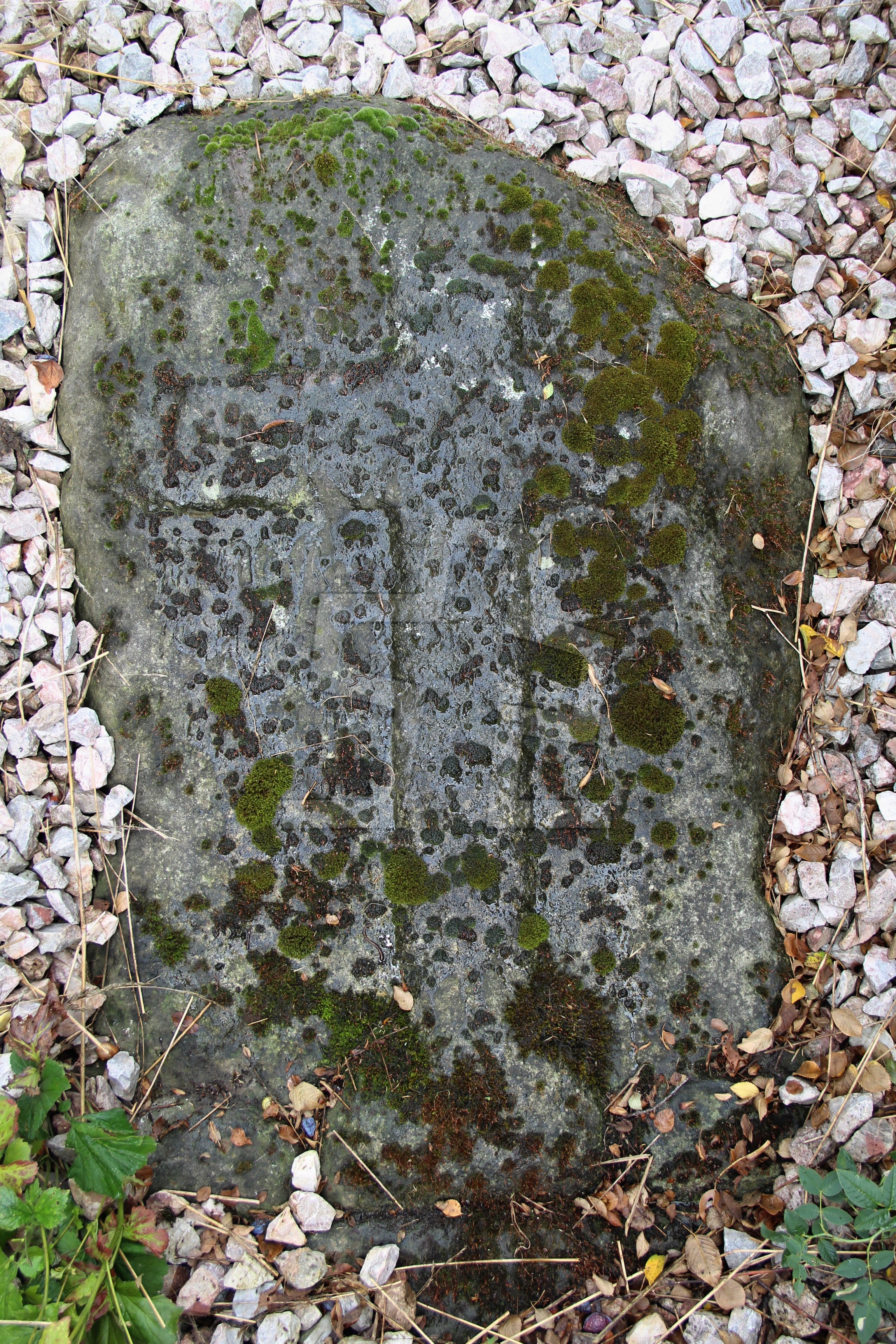 Foto: Oldřich Dvořák