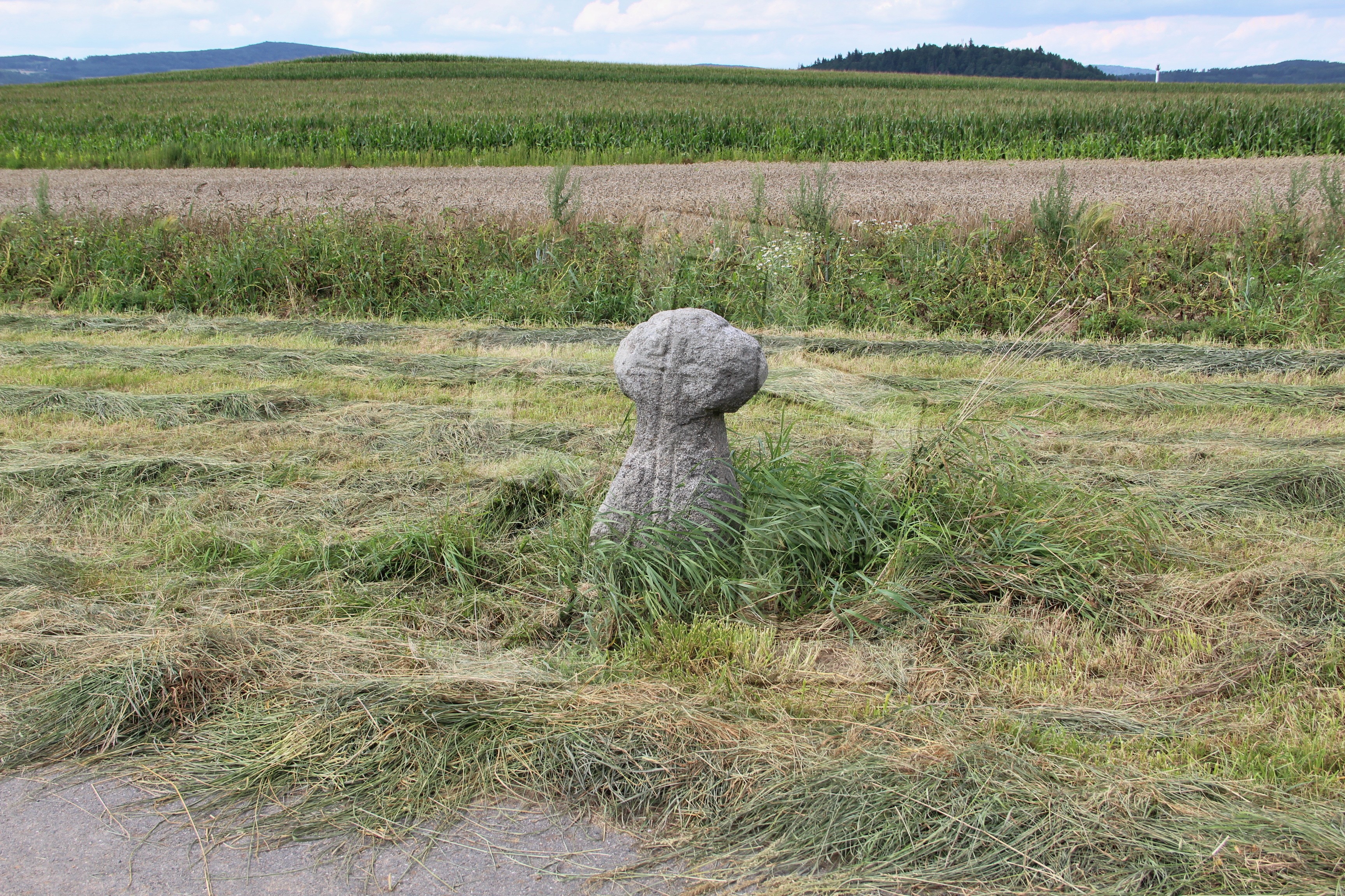 Foto: Oldřich Dvořák