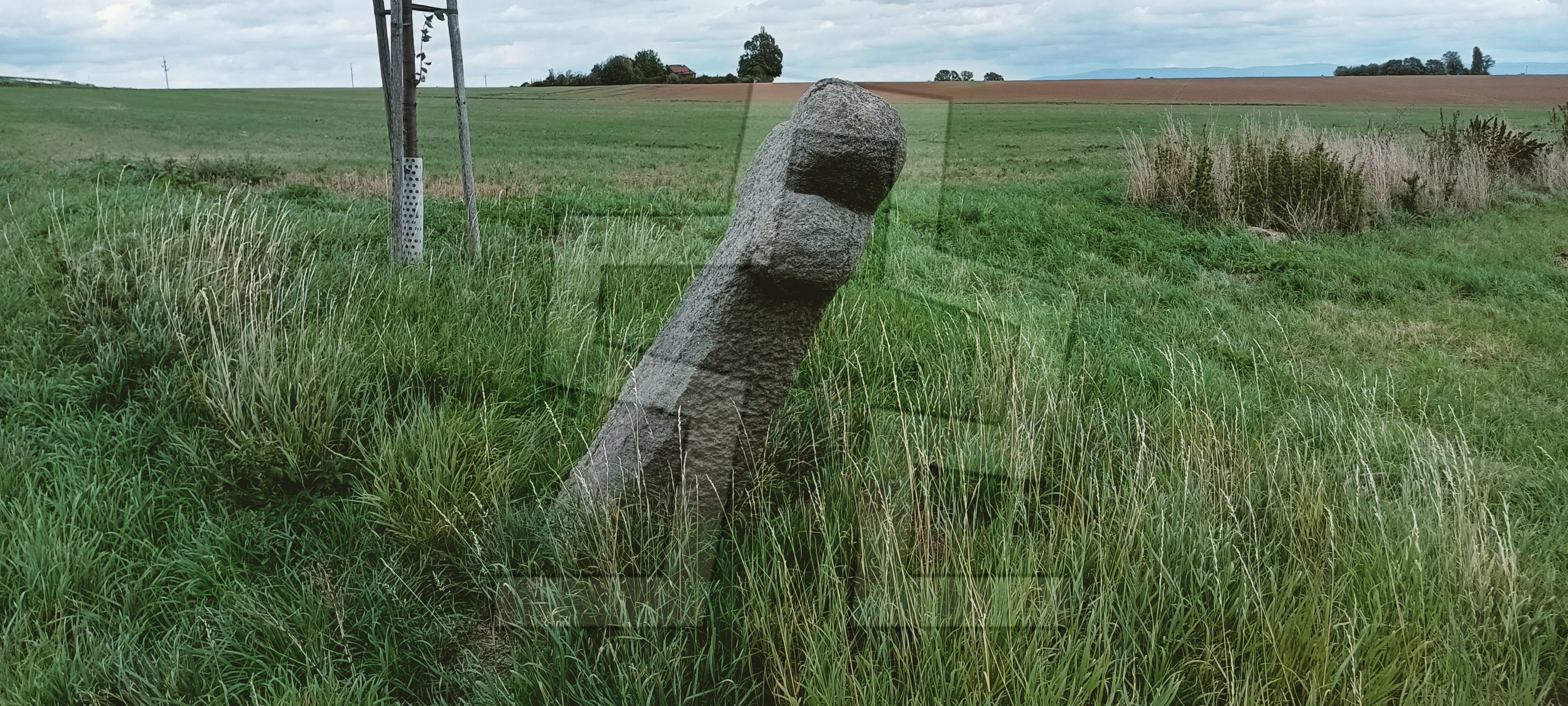 Foto: Jiří Kodejška