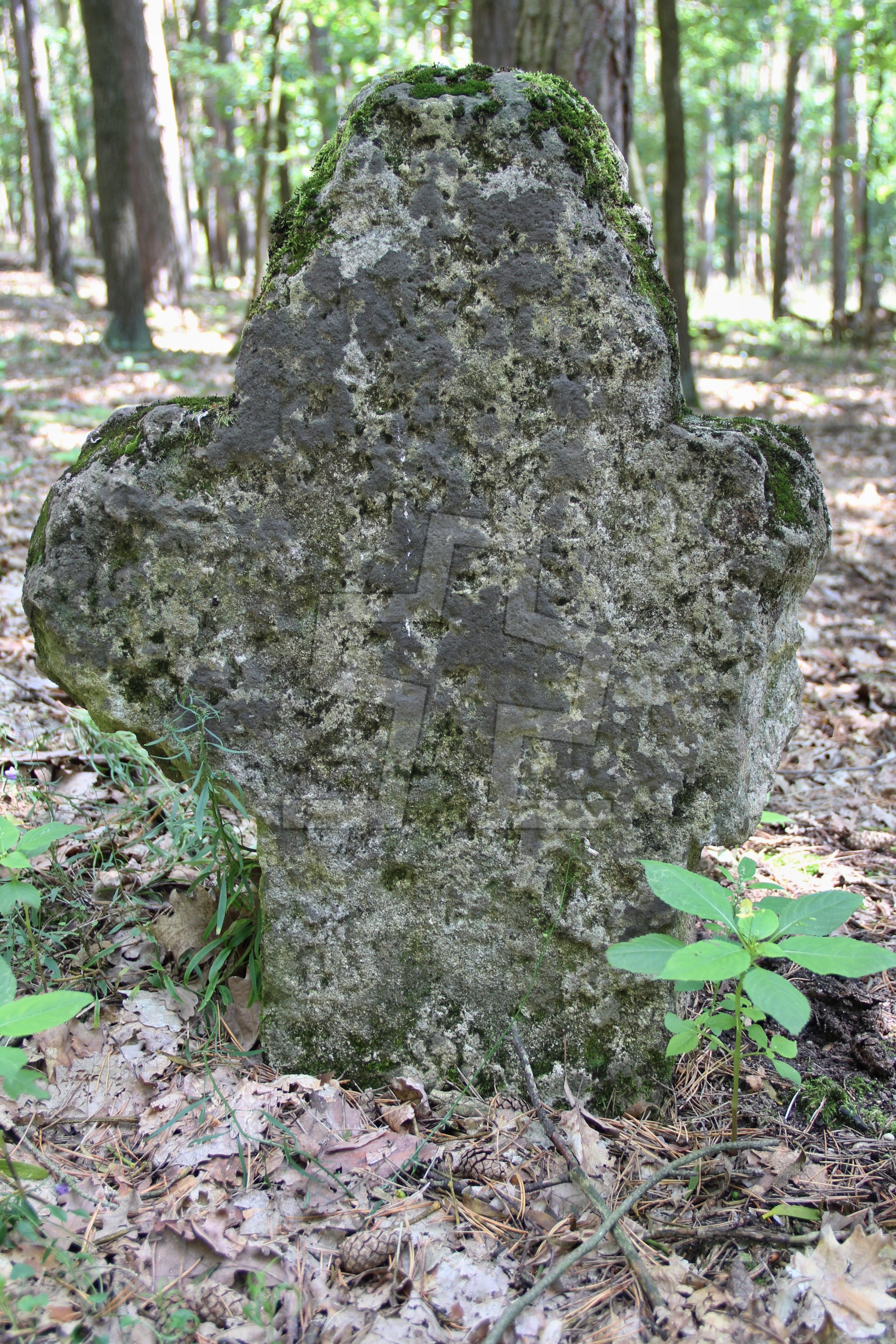 Foto: Oldřich Dvořák