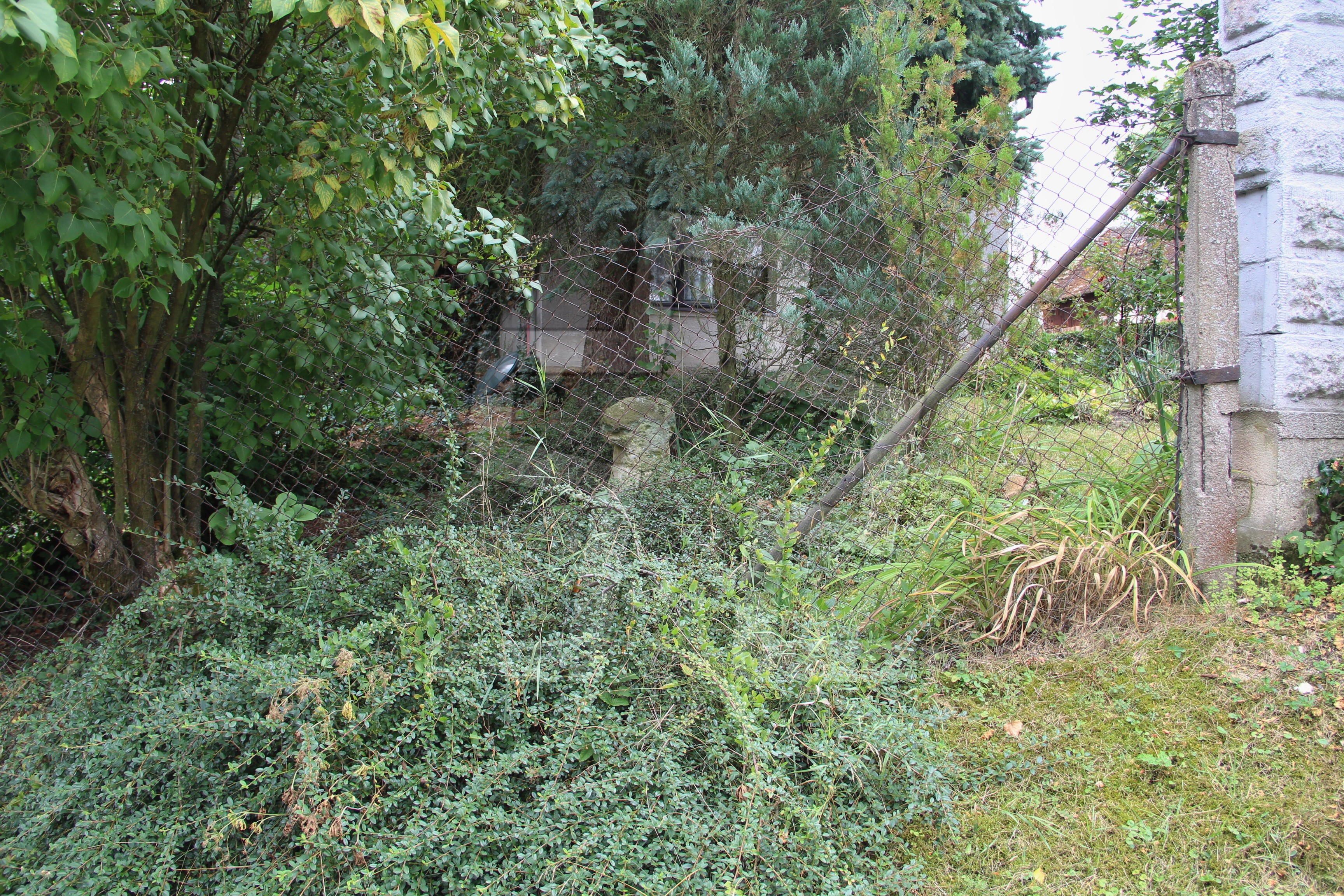 Foto: Oldřich Dvořák
