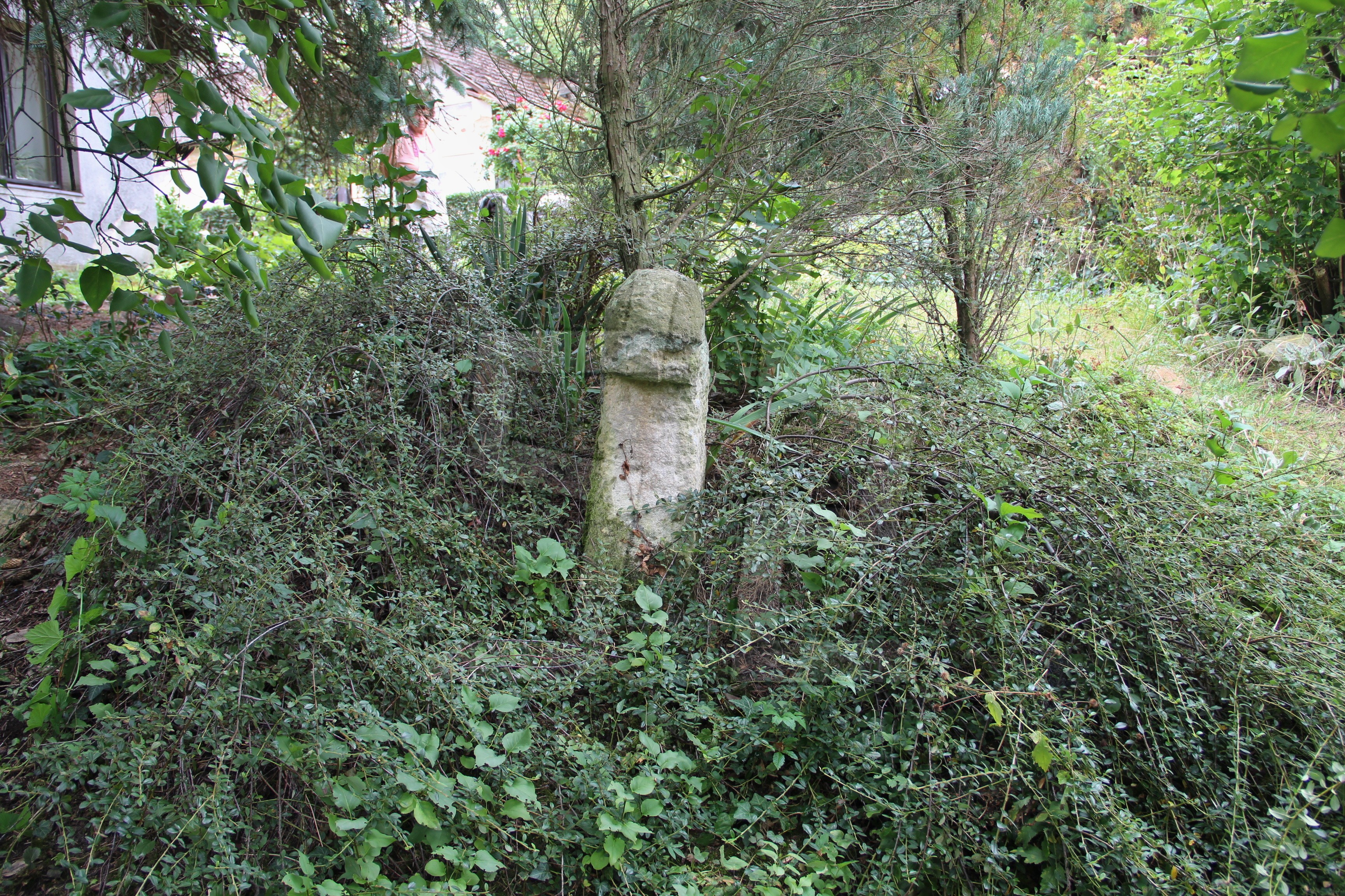 Foto: Oldřich Dvořák