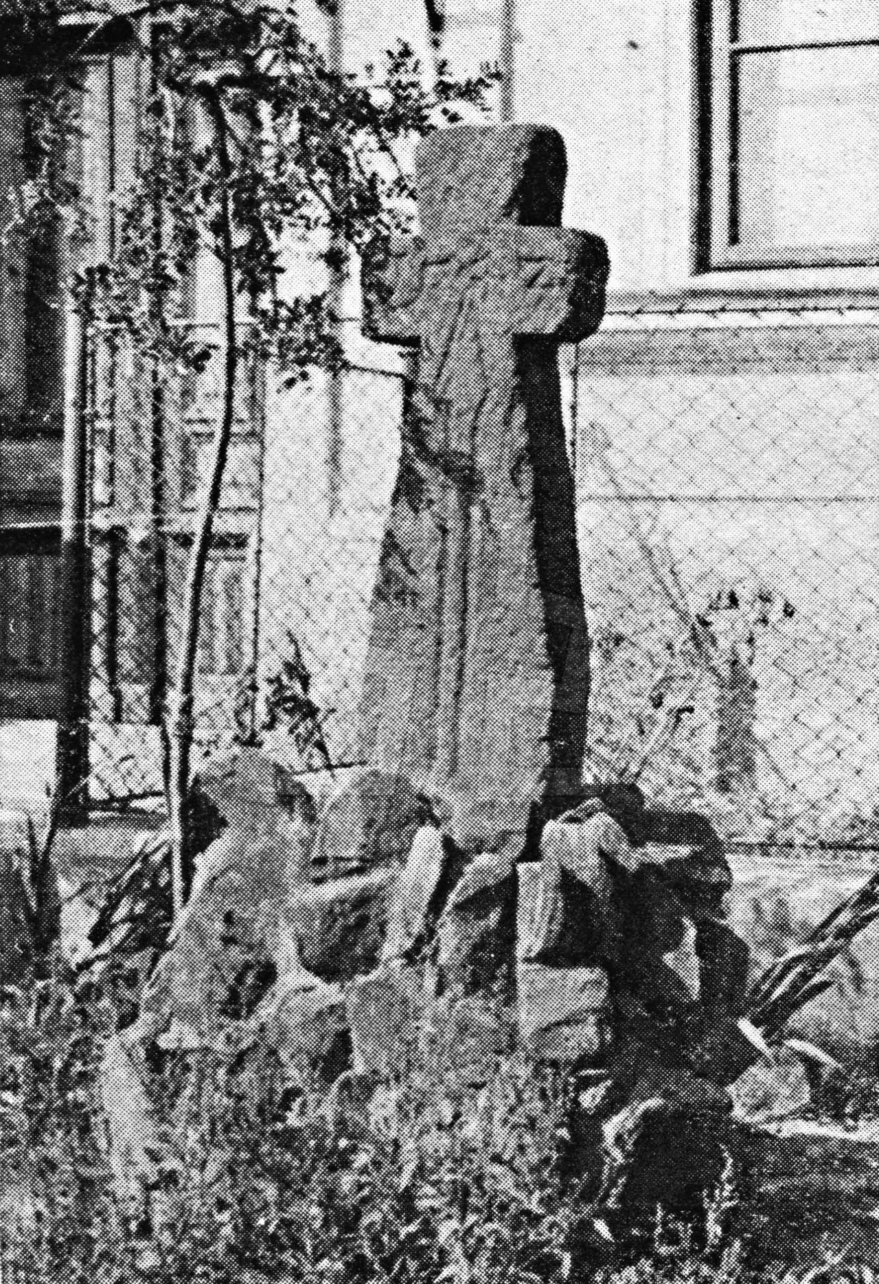 Foto: Ing. Josef Kšír