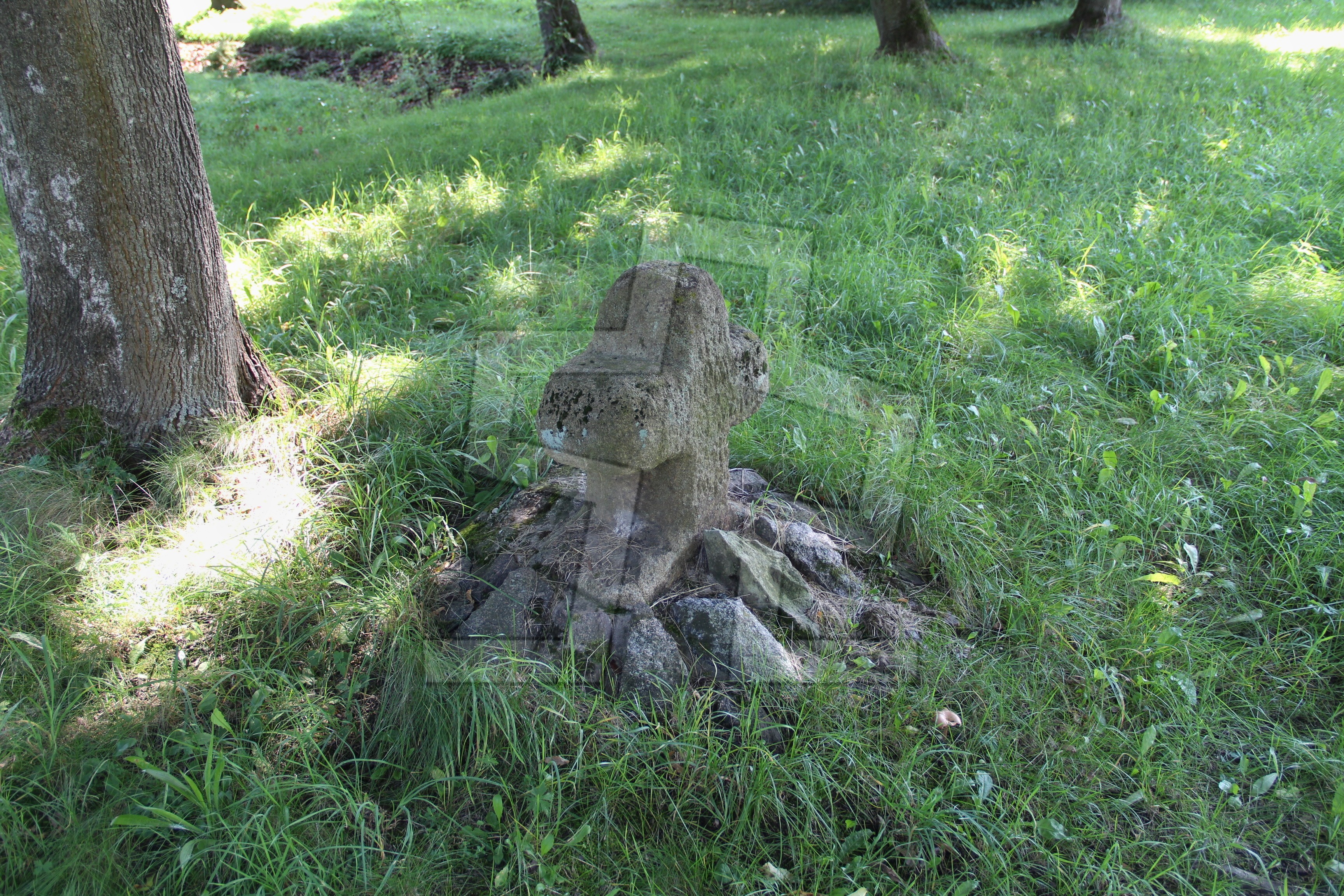 Foto: Oldřich Dvořák