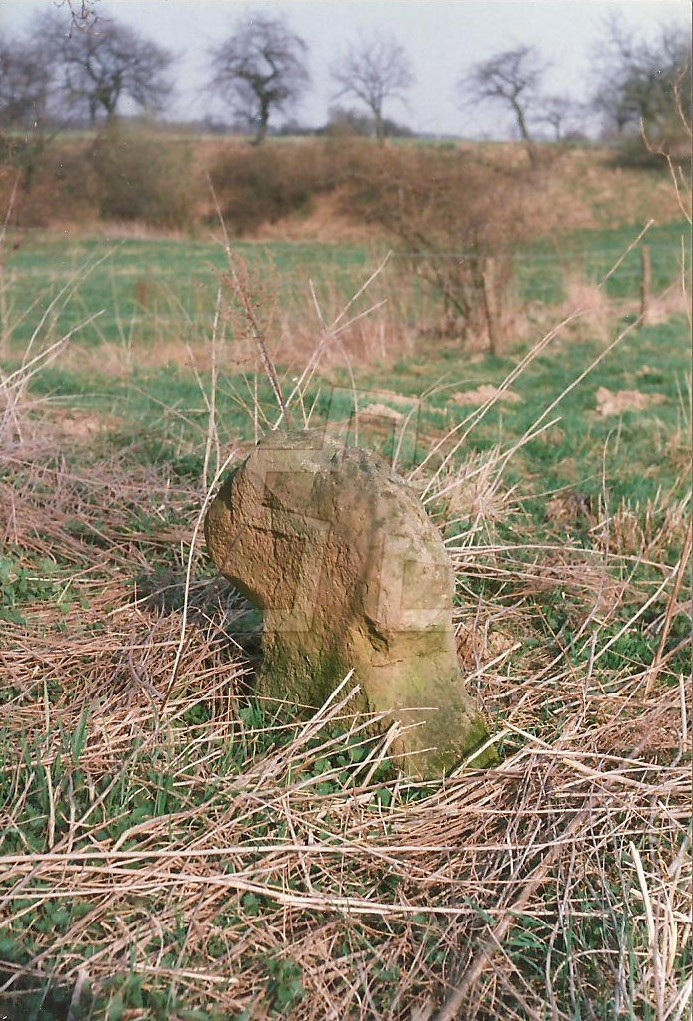 Foto: Franta Mikule