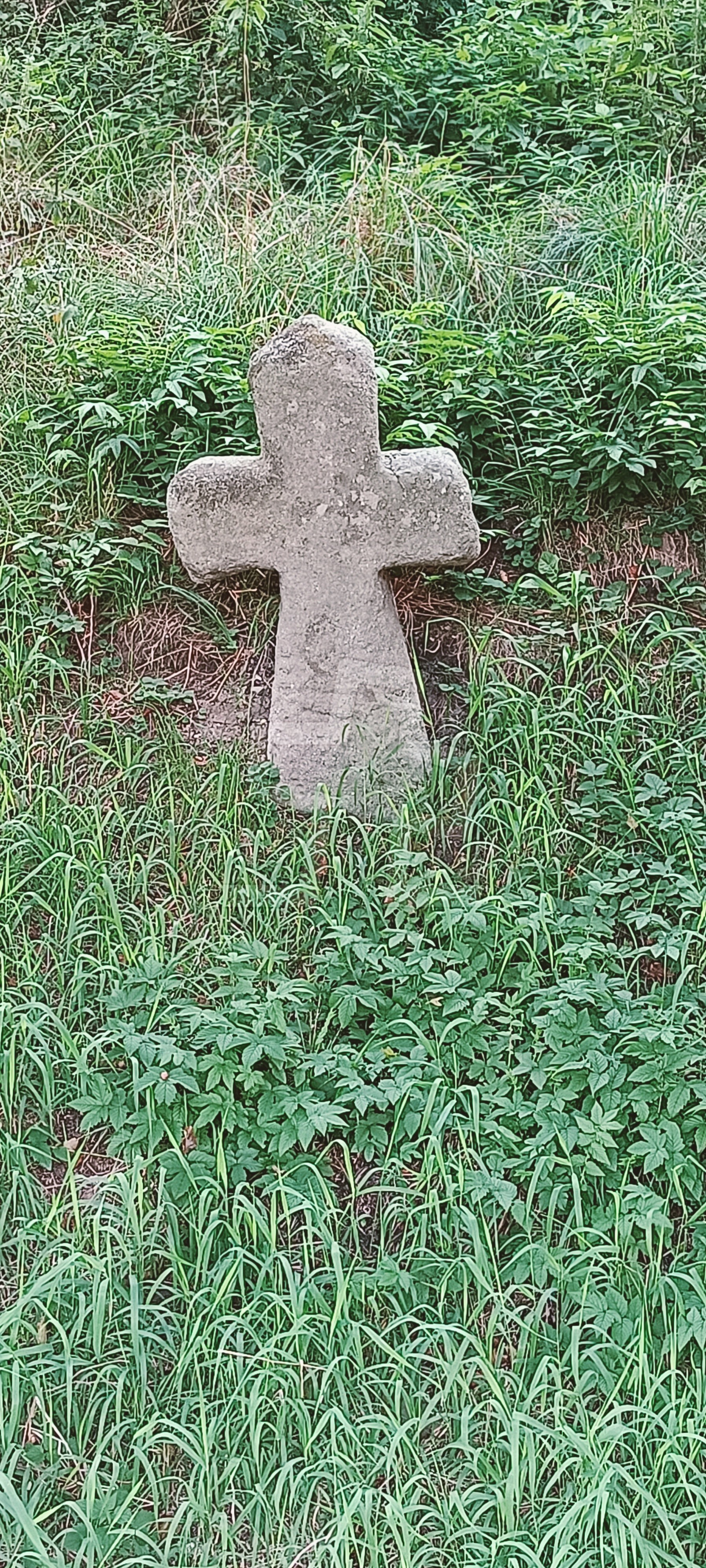 Foto: Jiří Kodejška
