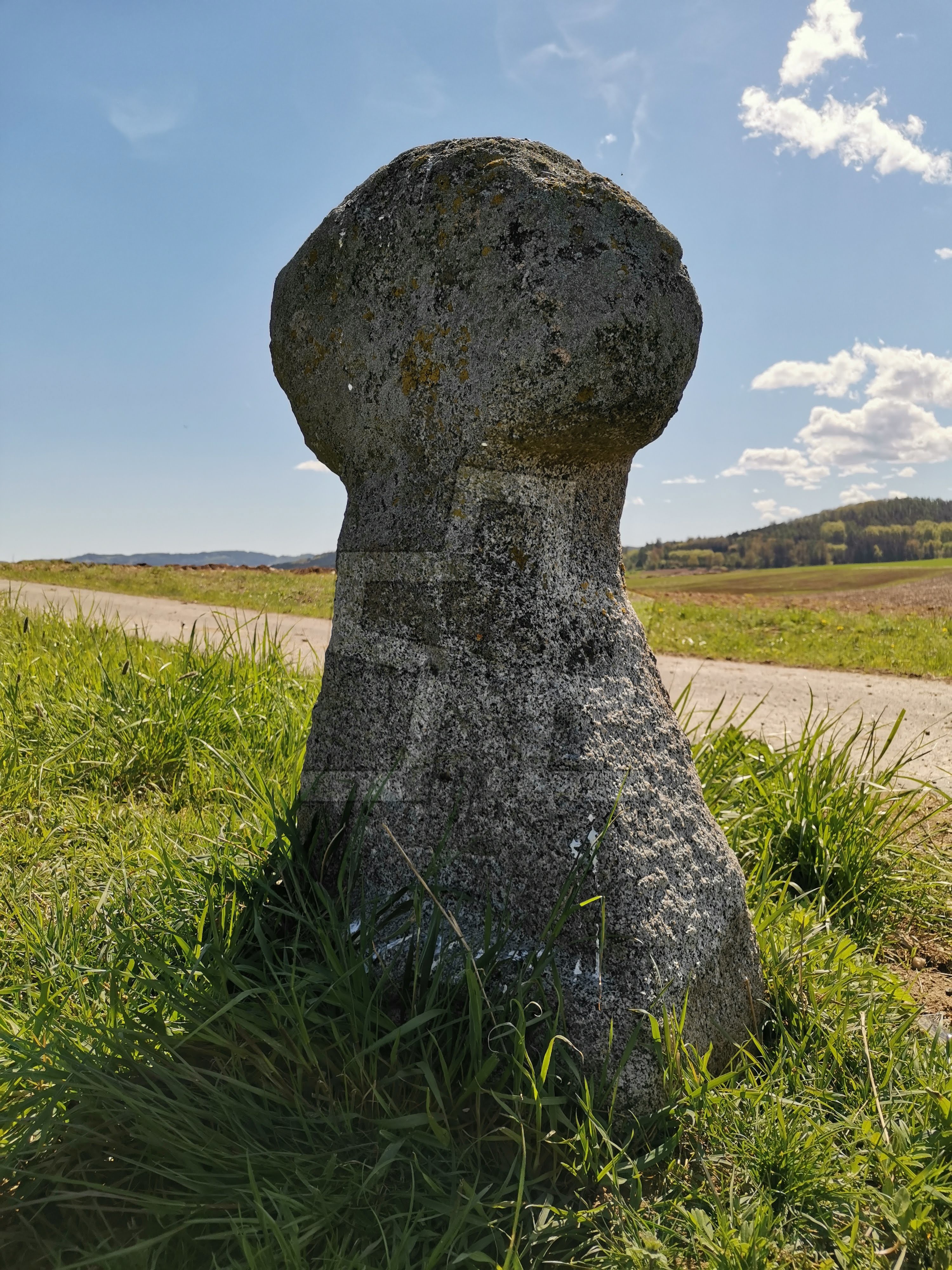 Foto: Markéta  Froňková 