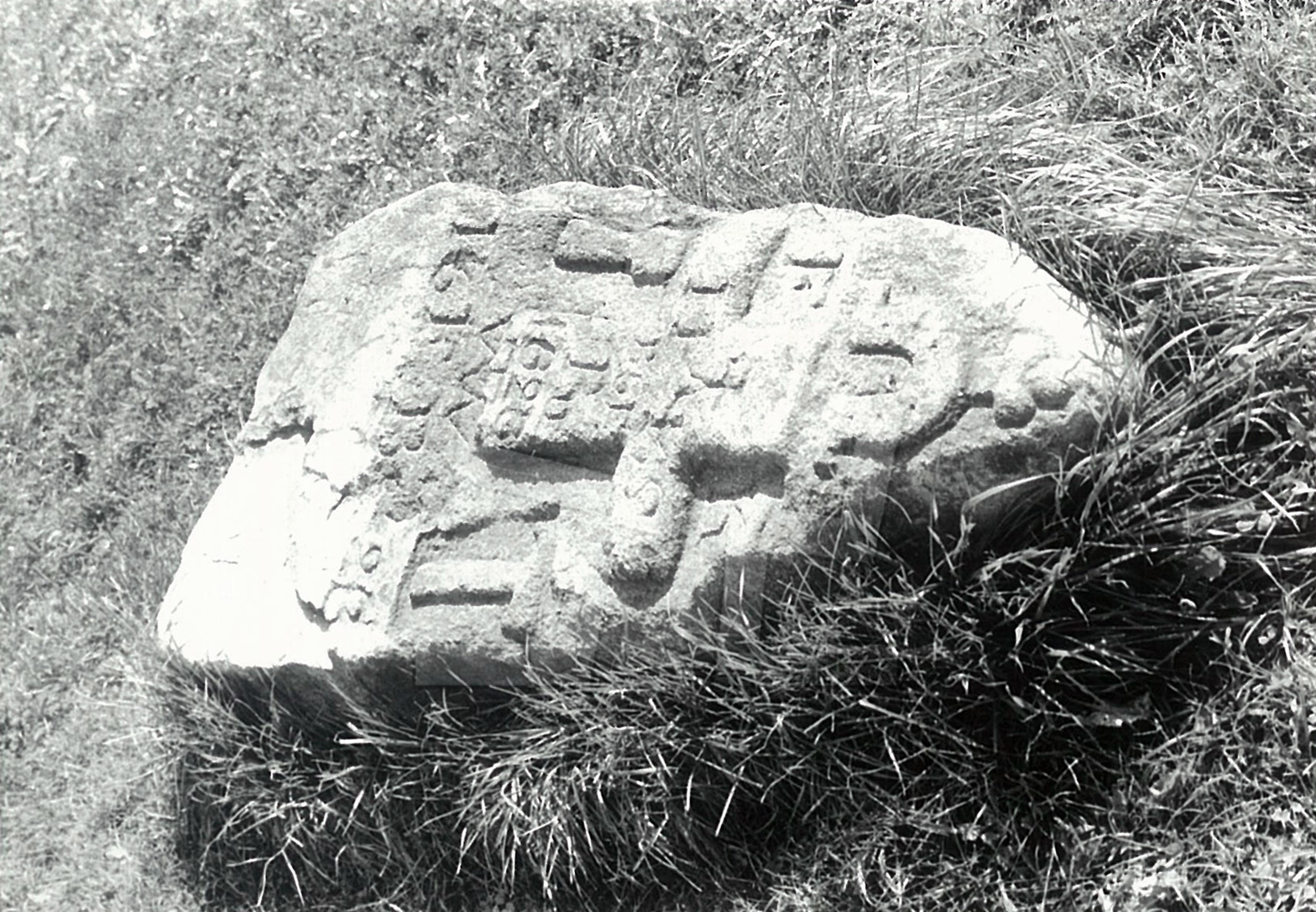 Foto: autor neuveden