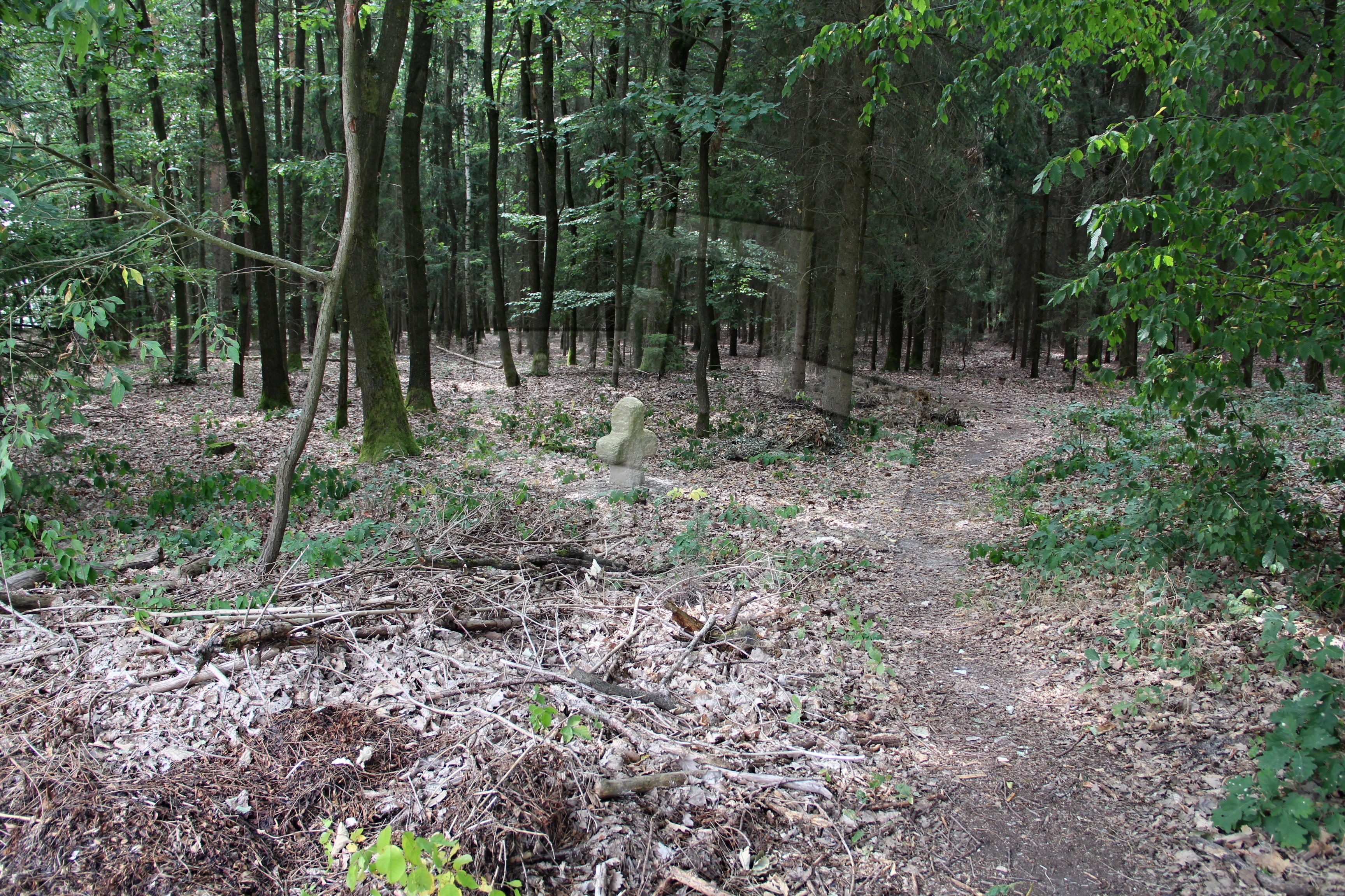 Foto: Oldřich Dvořák