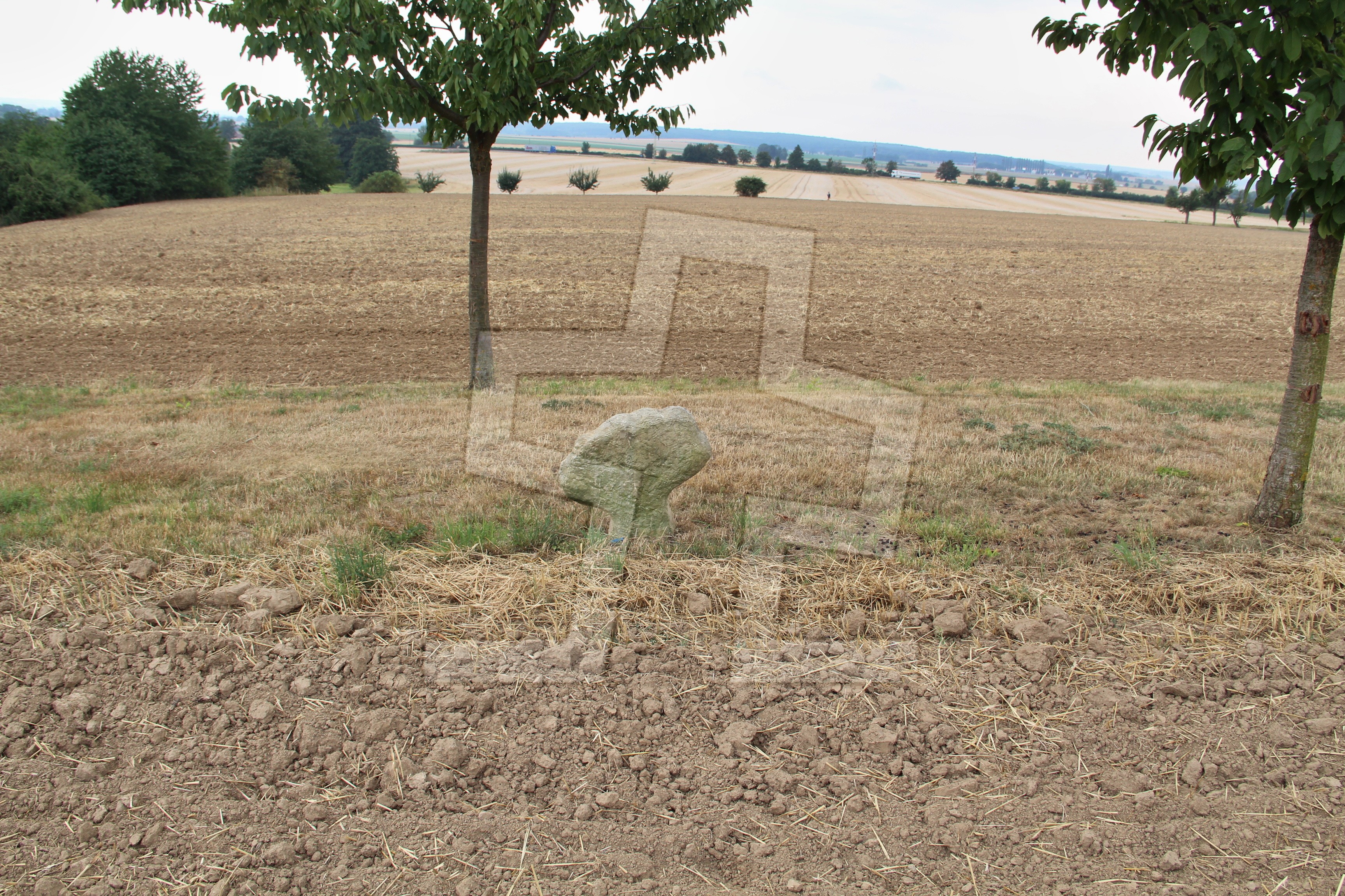 Foto: Oldřich Dvořák