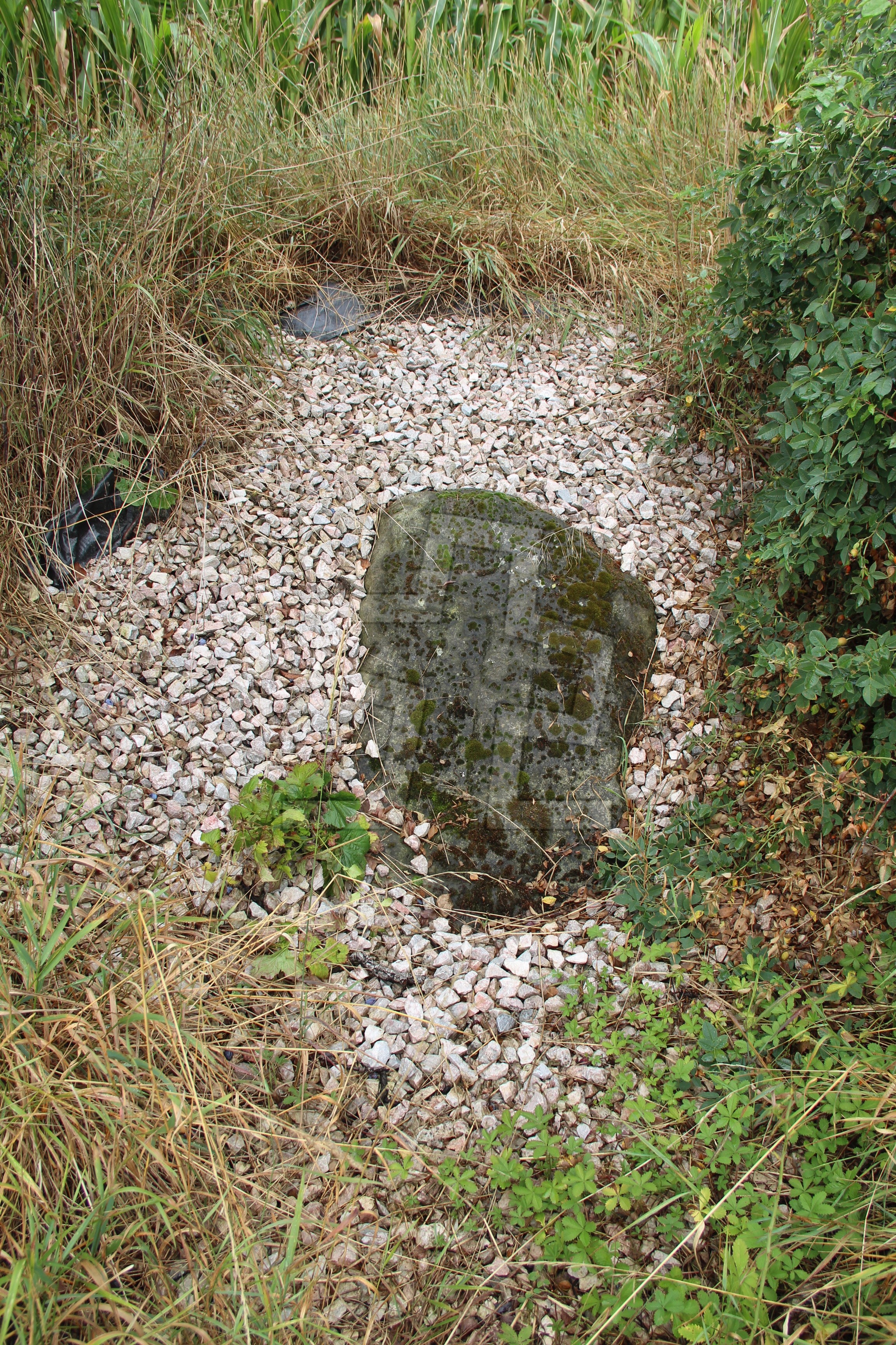 Foto: Oldřich Dvořák