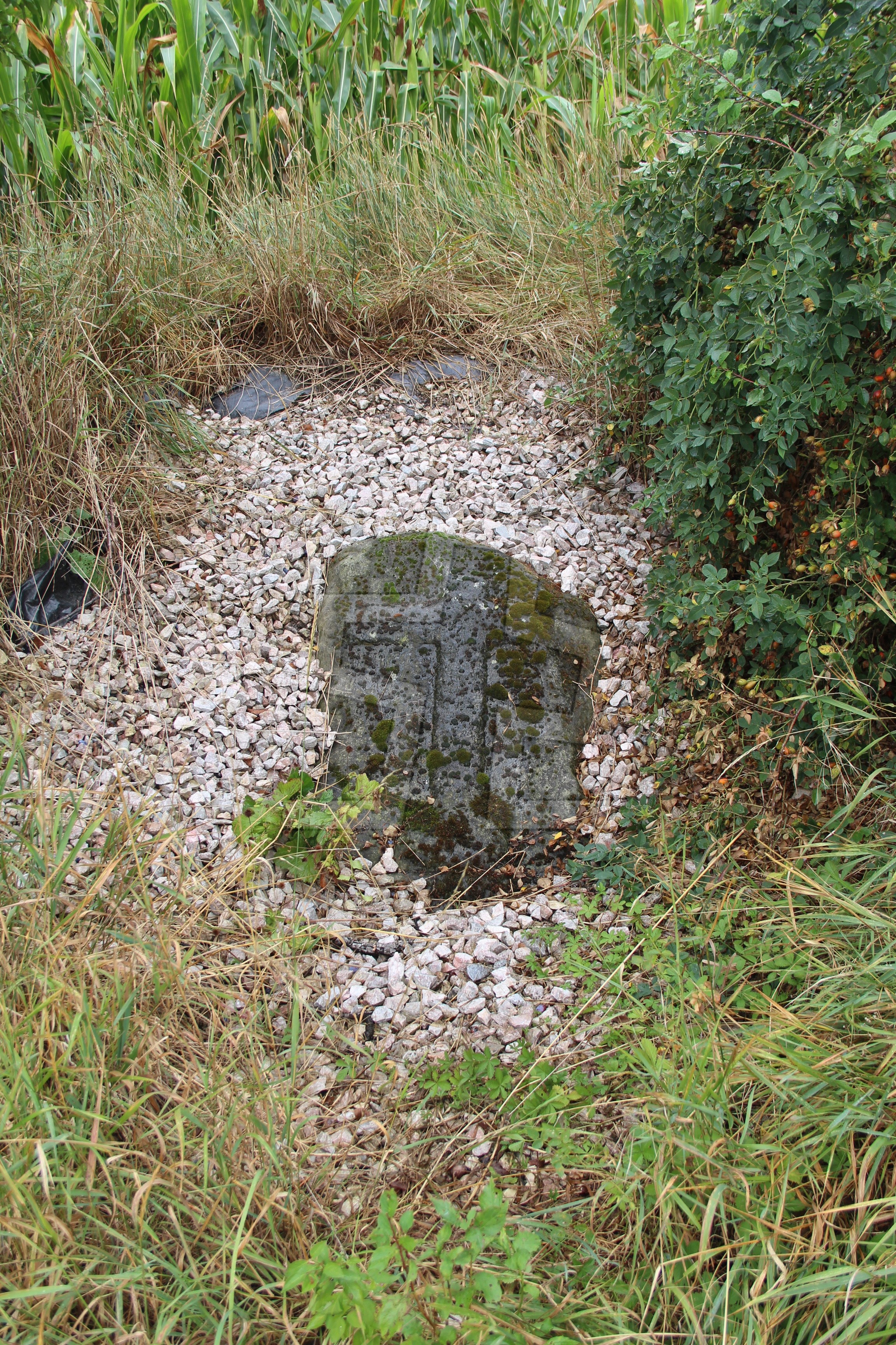 Foto: Oldřich Dvořák