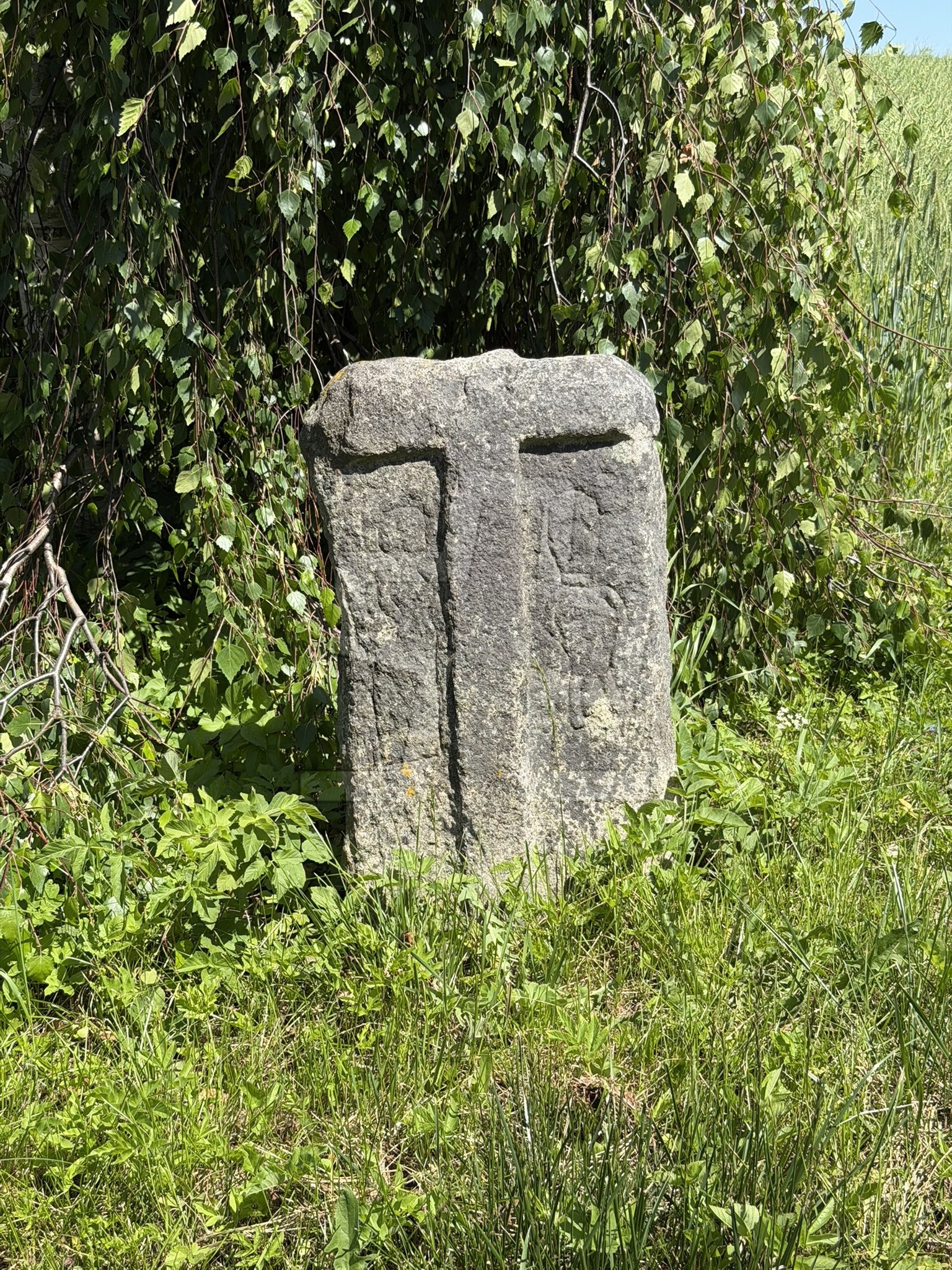 Foto: Tomáš Miškovský