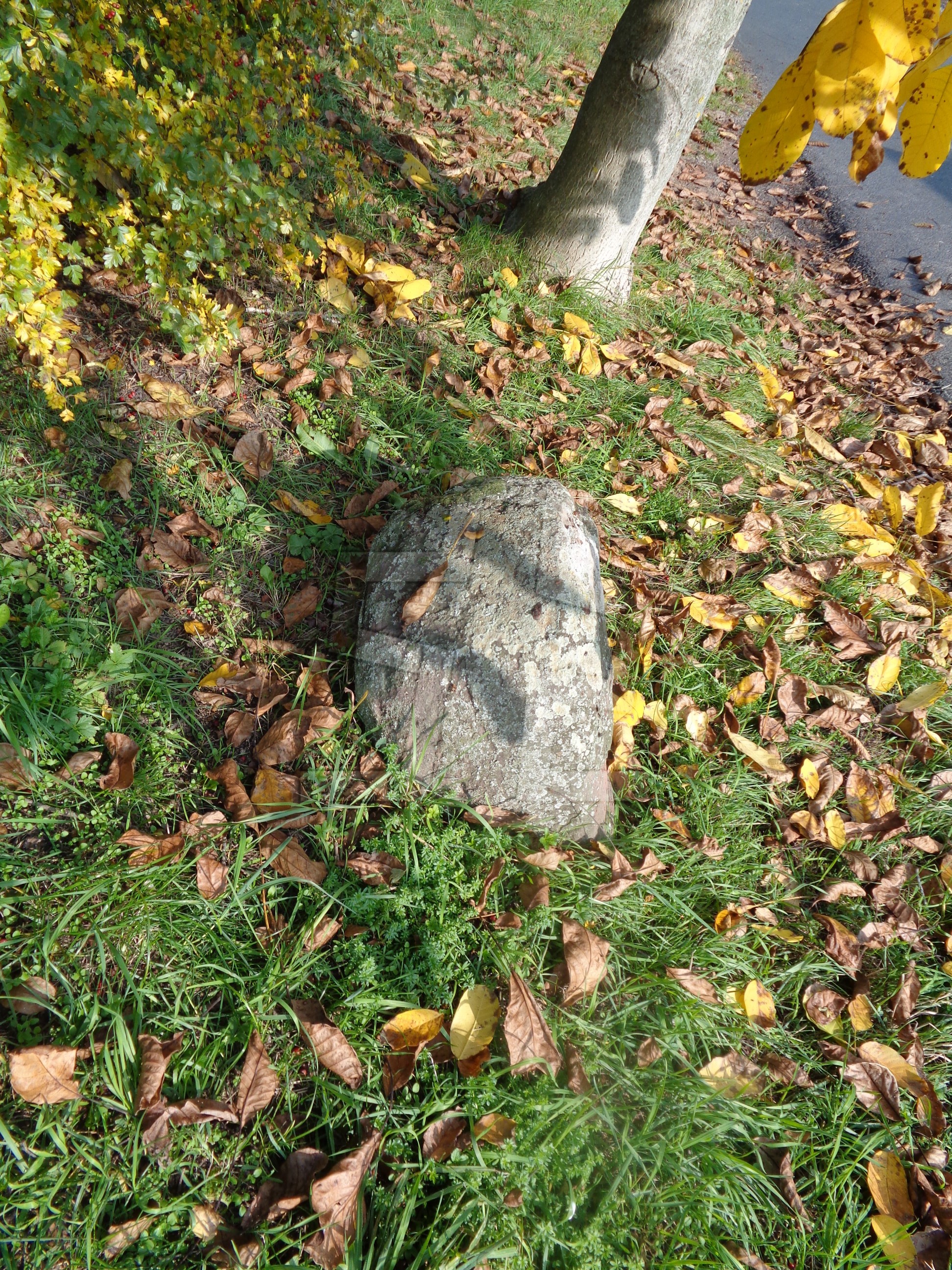Foto: Michal  Streubel