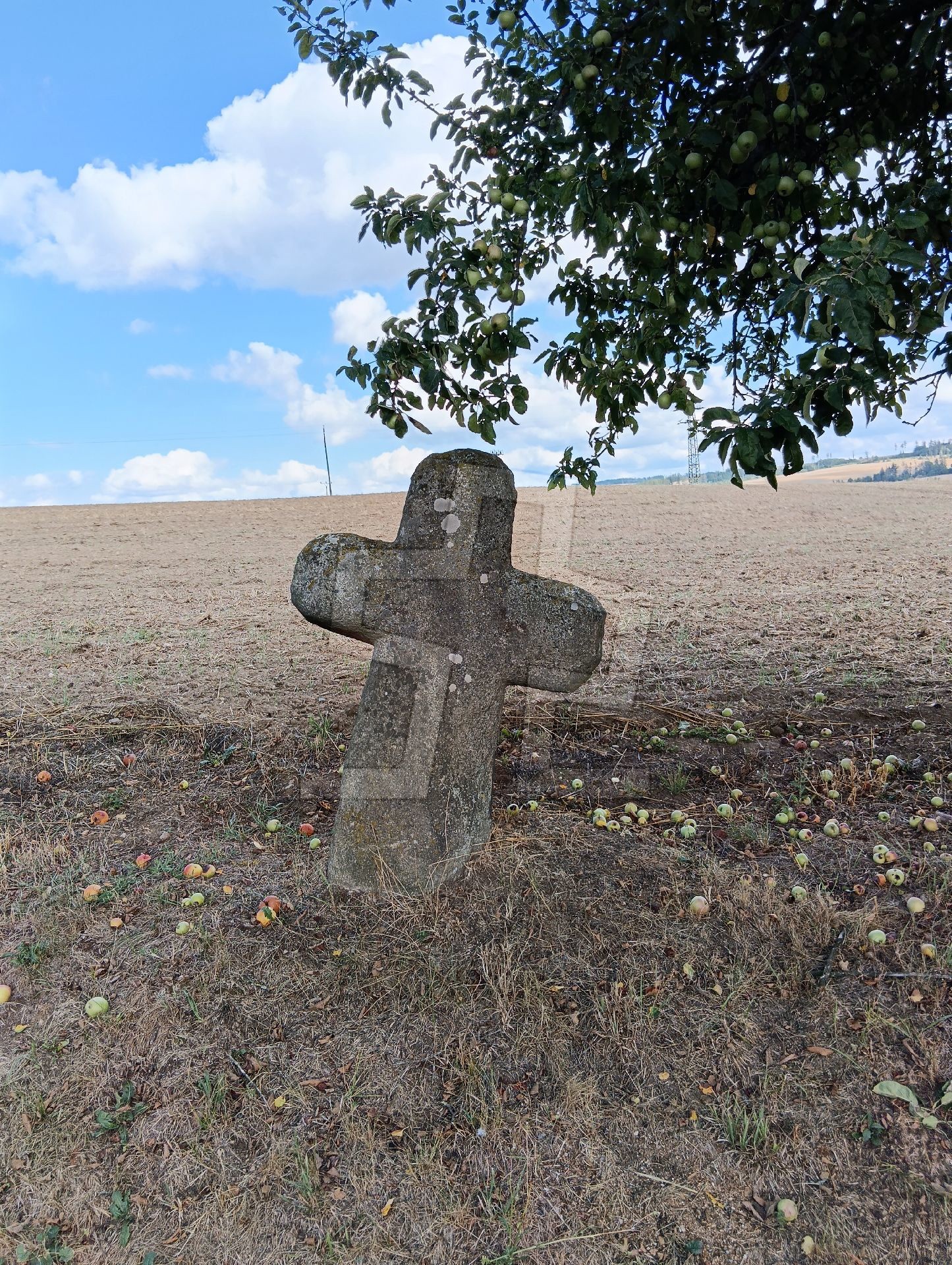 Foto: Luděk Faukner
