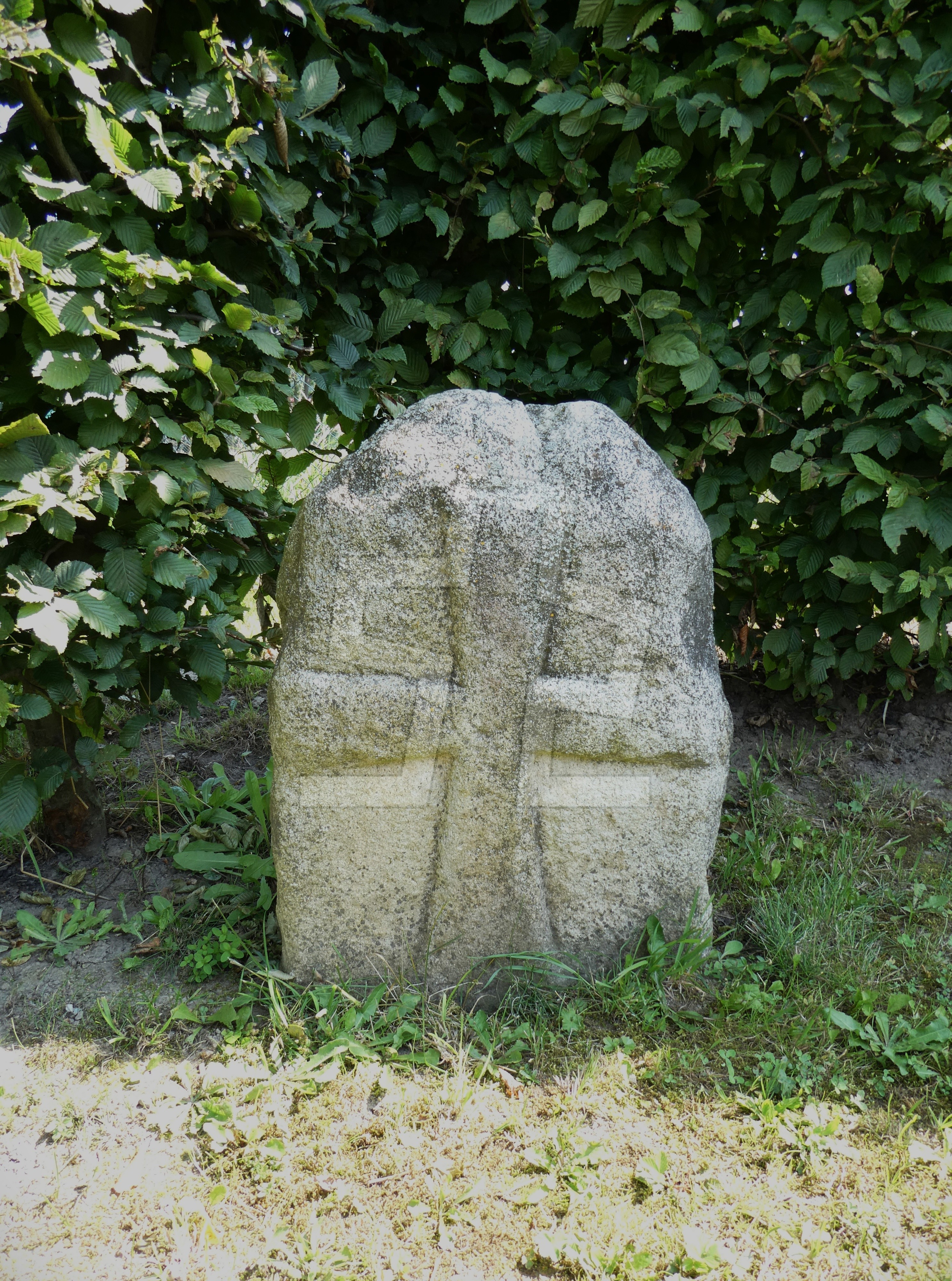 Foto: Jiří Synek