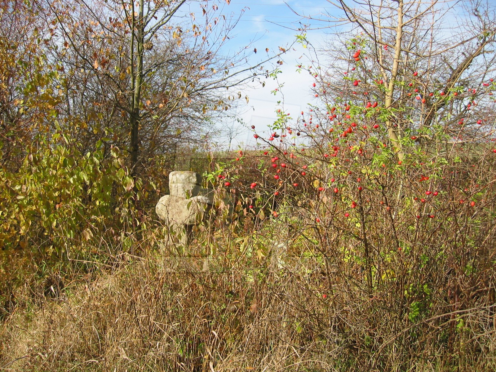 Foto: Jaroslav Brojír