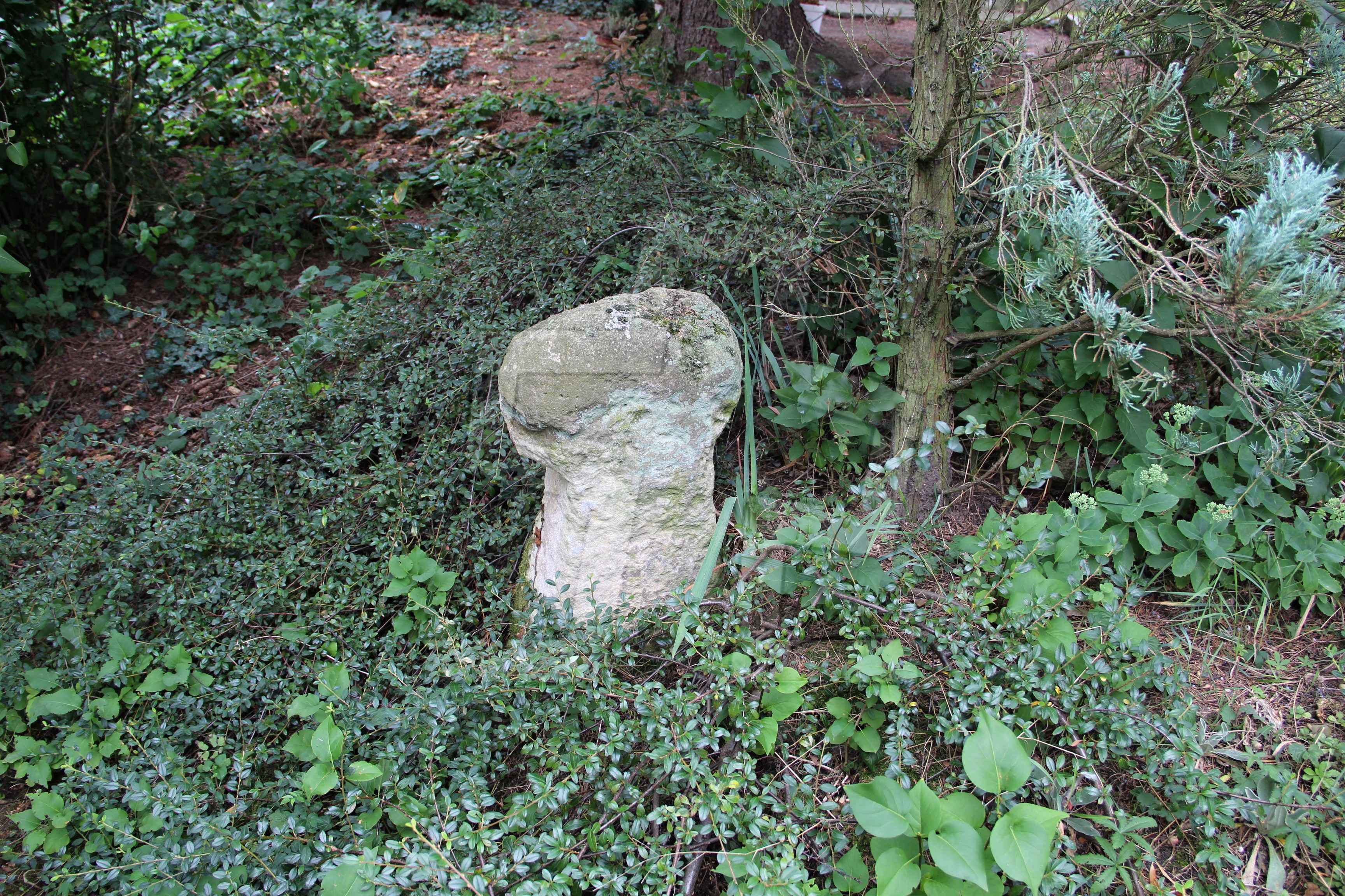 Foto: Oldřich Dvořák