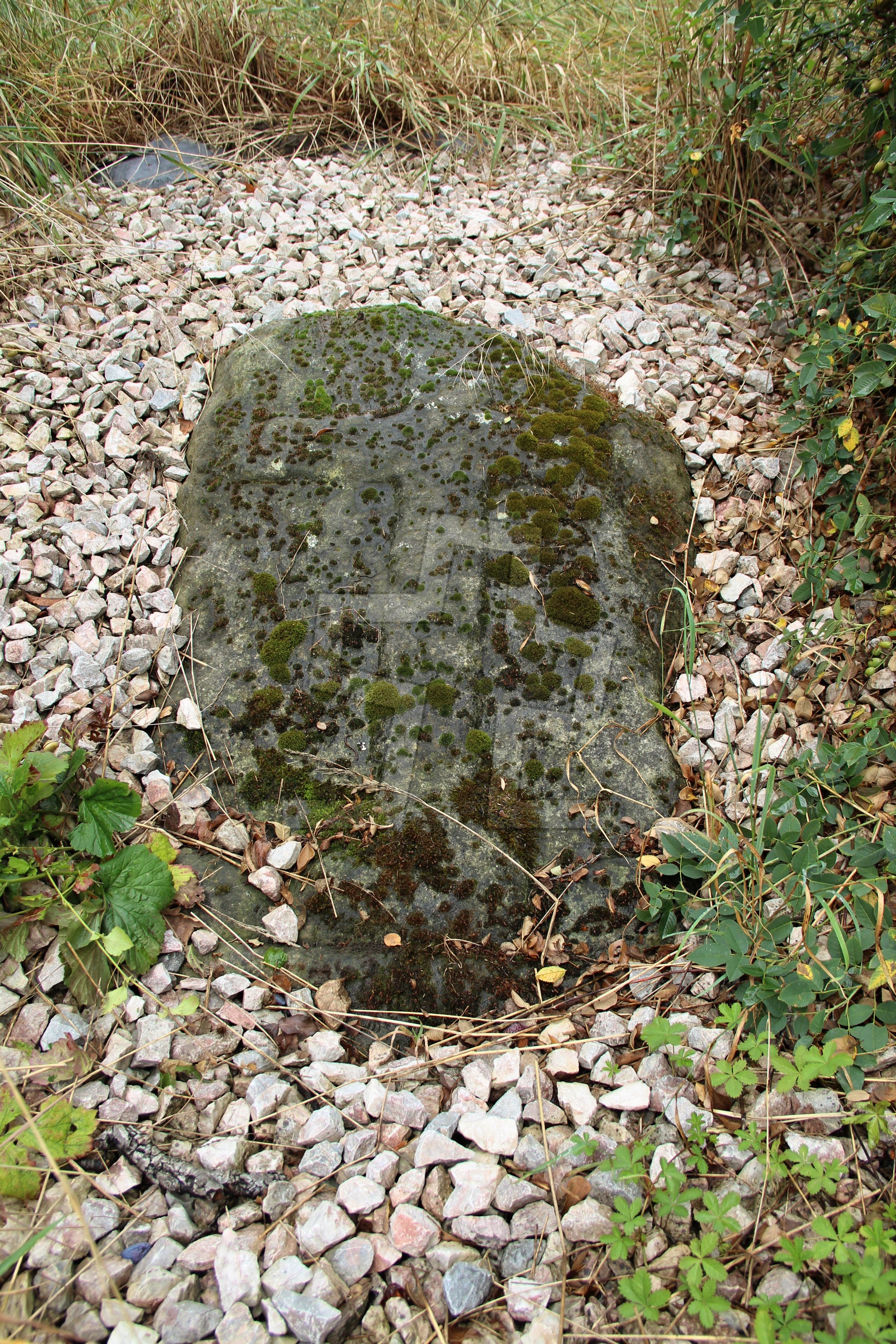 Foto: Oldřich Dvořák